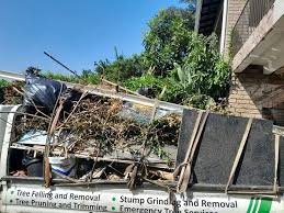 Best Hoarding Cleanup  in Village Of Four Seasons, MO